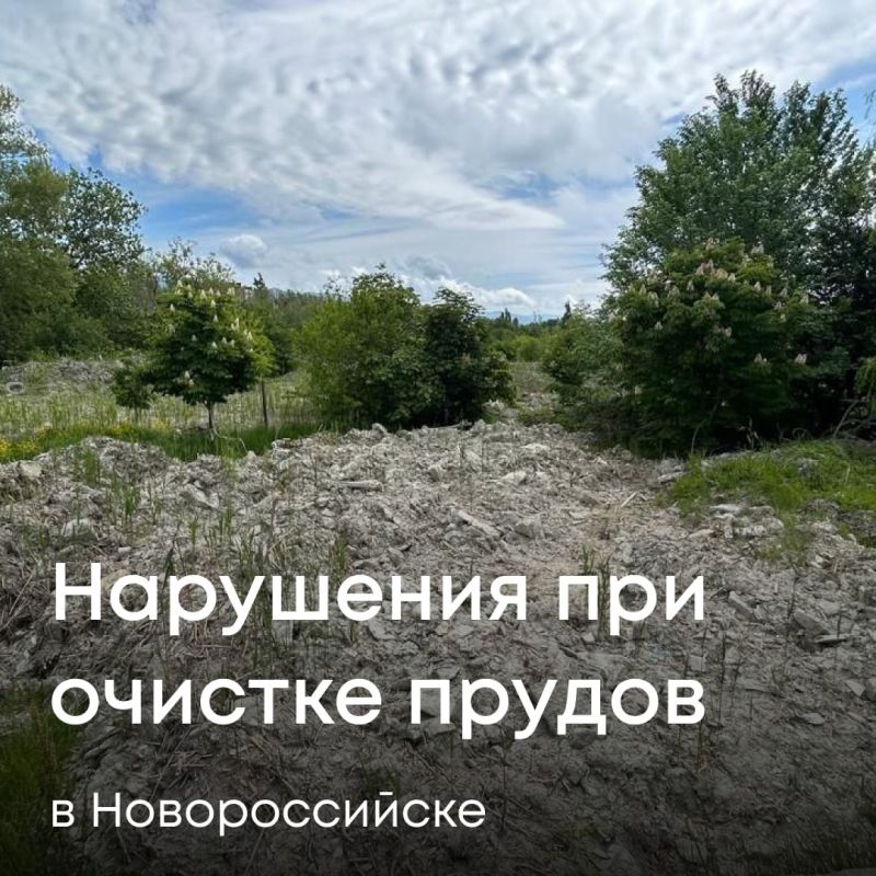 Инспекторы Росприроднадзора выявили нарушения при работах по очистке прудов в Парке «Южные пруды» города Новороссийска