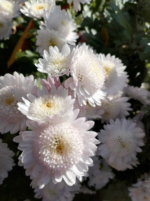 Доброе утро! Сегодня 14 ноября, пятница