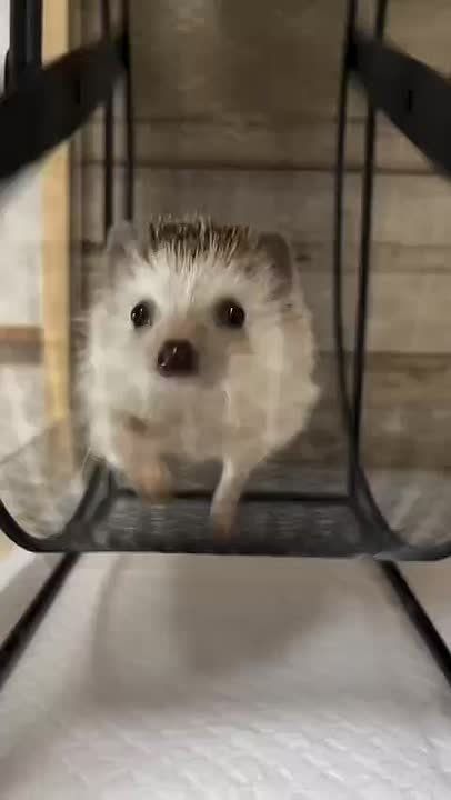 Ещё чуть-чуть, ещё немного и добежим до выходных