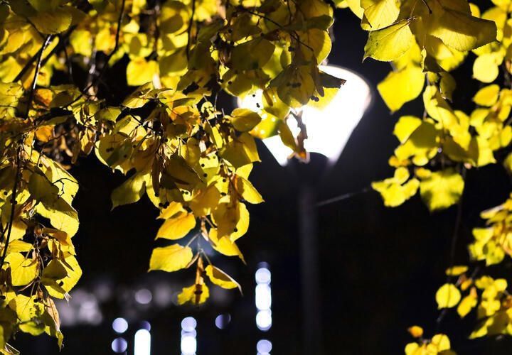 Массированная атака беспилотников на города Кубани, США пошли войной на Венесуэлу: что произошло пока вы спали