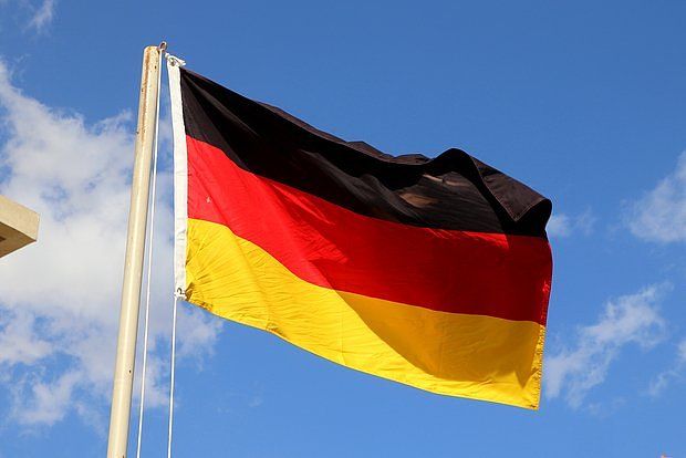 Депутатам АдГ в ФРГ пригрозили исключением из партии за участие в форуме в Сочи