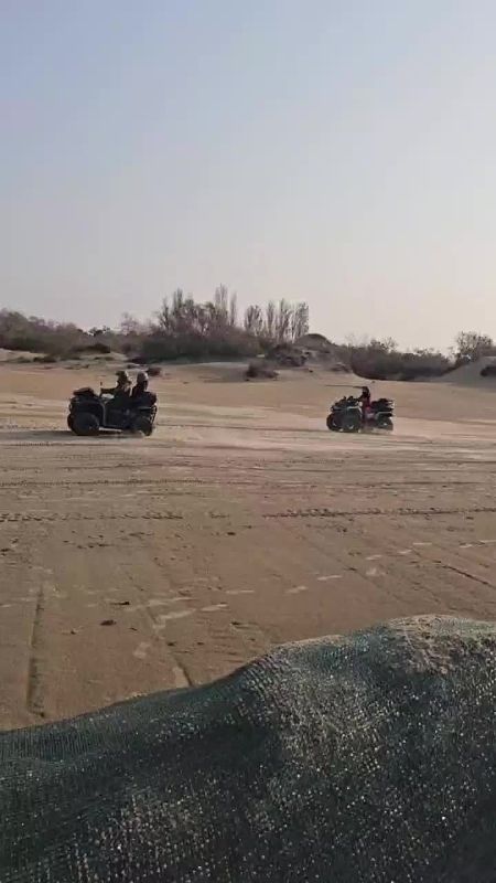 Больше 50 человек проехались по пляжу Анапы на квадроциклах и багги — и поплатились за это