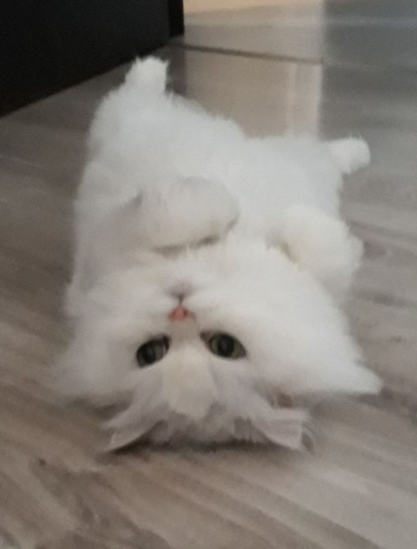 Доброе утро, Кубань!. Краснодар +11 °С