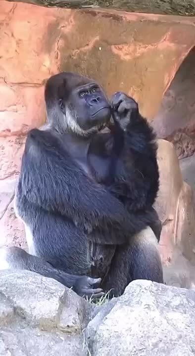 Вот как это работает: только вчера была пятница, а сегодня опять понедельник? Где выходные?!