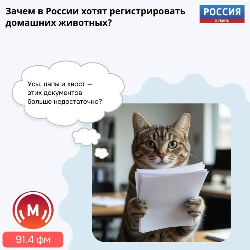 Гражданин пёс: новые реалии ждут домашних животных и их хозяев