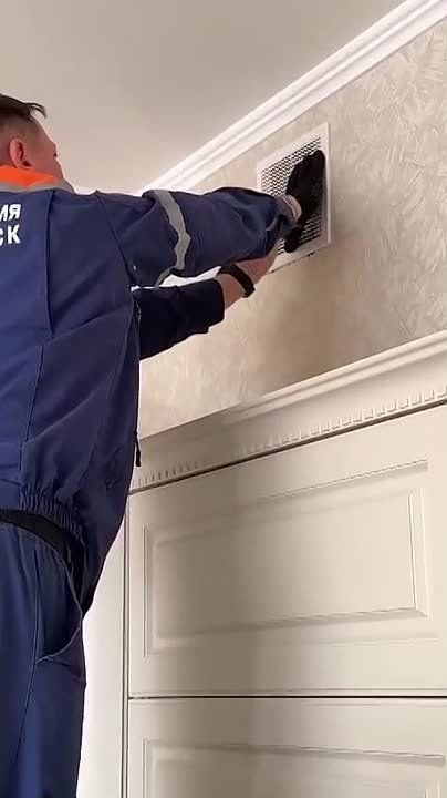 Сорока-кусака застряла в вентиляции в Новороссийске — на помощь пришли спасатели