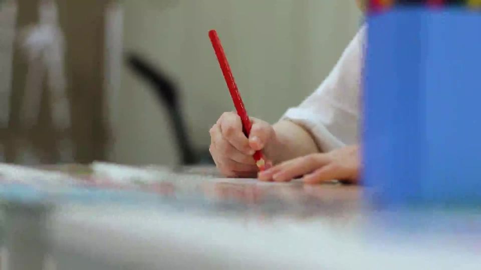 Новогодняя акция «Доброелка» стартовала на Кубани