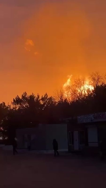 Пламя до небес: мощный пожар над Омском попал на видео