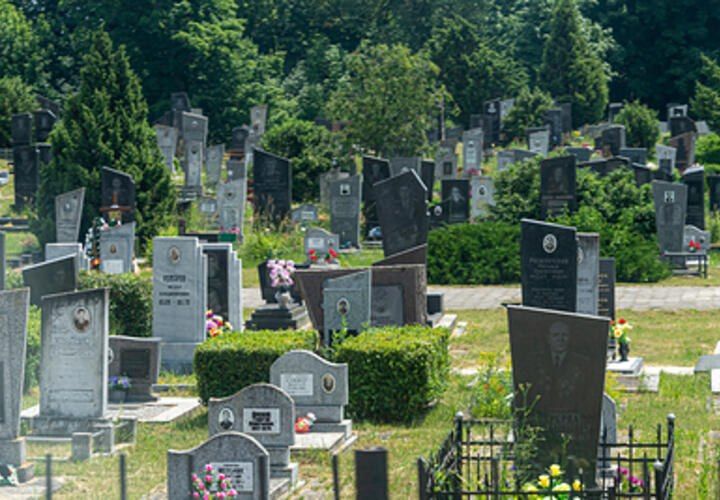 На скамье землекоп и советник мэра: в Сочи начался процесс по делу «кладбищенской мафии»