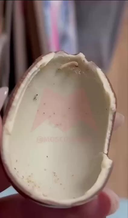 Шоколадное Яйцо с личинками досталось москвичам