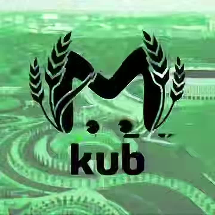 Обломки дронов повредили 17 жилых домов и два магазина в Ильском