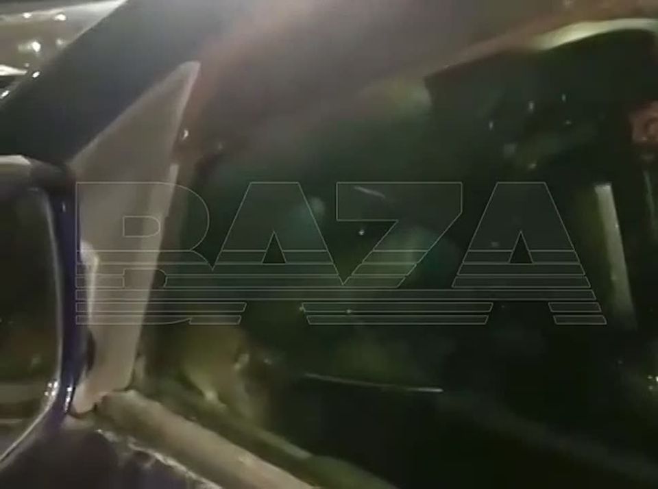 С наступлением холодов крысы массово атакуют автомобили россиян