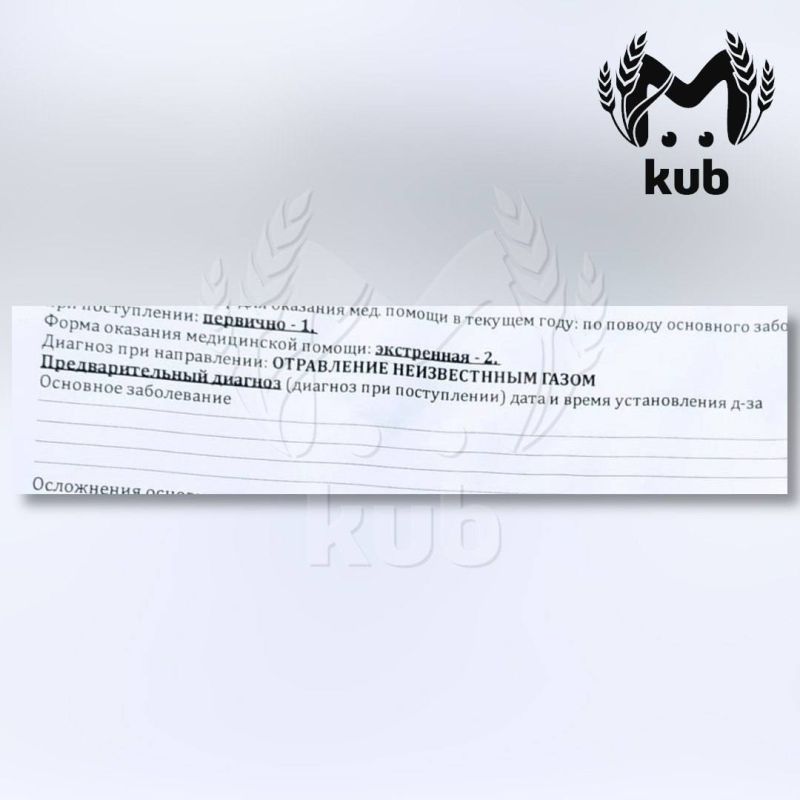 Детей рвало кровью после того, как они надышались газом на уроке биологии в краснодарской школе № 104