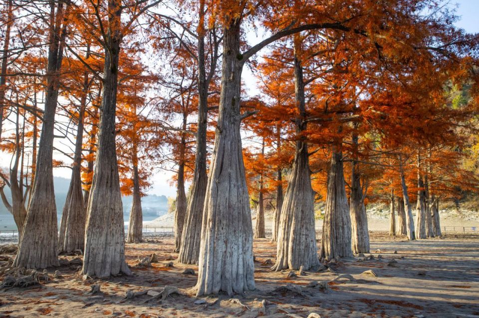 Пятнично, буднично, солнечно