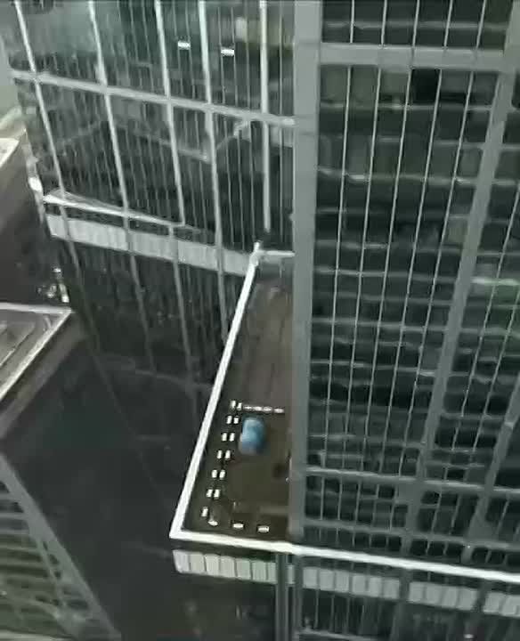 Палатку и мангал на крыше башни «Москва Сити» сняли очевидцы