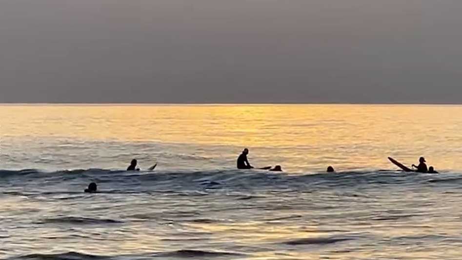 Серферы в Сочи собираются на городских пляжах