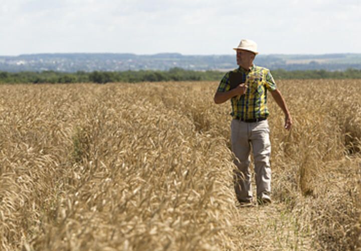 «Не хватает более 200 тысяч человек»: эксперт рассказал, как решить кадровую проблему в АПК
