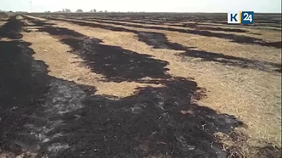 Густой дым и зола: жители станицы в Красноармейском районе жалуются на предприятие по переработке риса