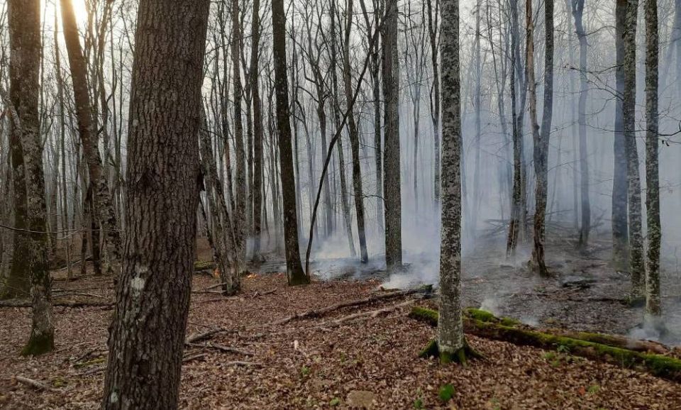 В Абинском районе пожар локализовали на площади 22 га
