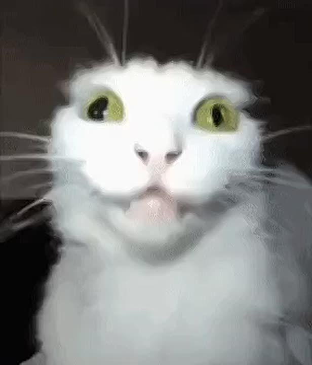 Туса на выхах была норм, всем спс