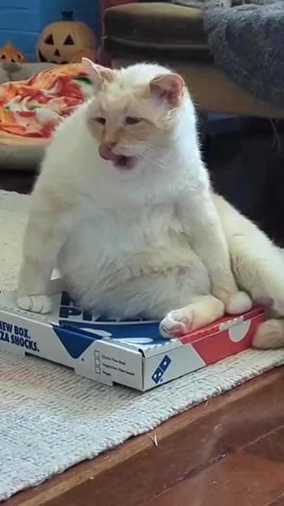 Опять понедельник?