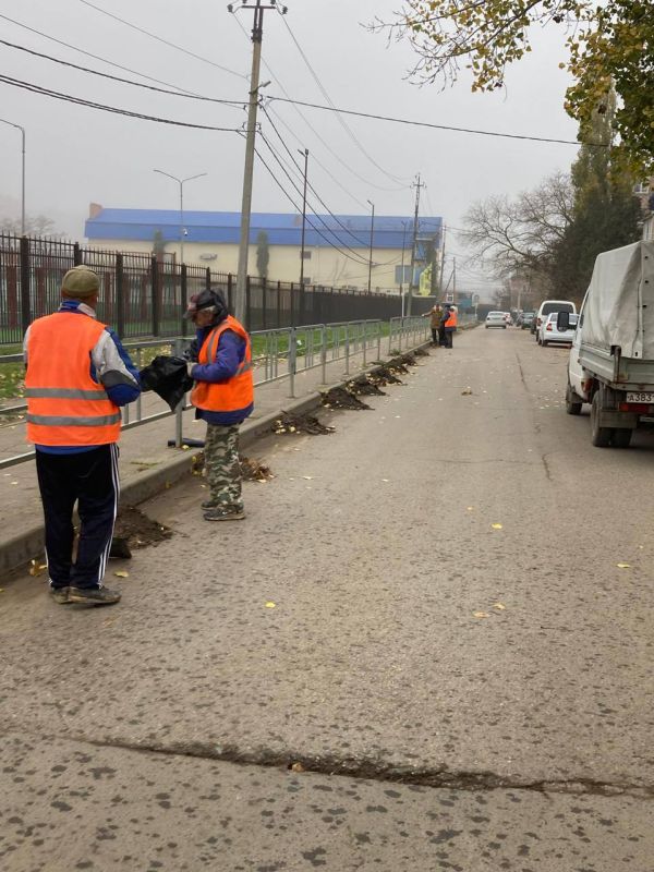 Рубрика «Ейск сегодня. Дела житейские»