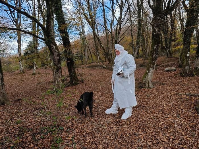 Мясные «конфеты» спрятали на территории Сочинского нацпарка