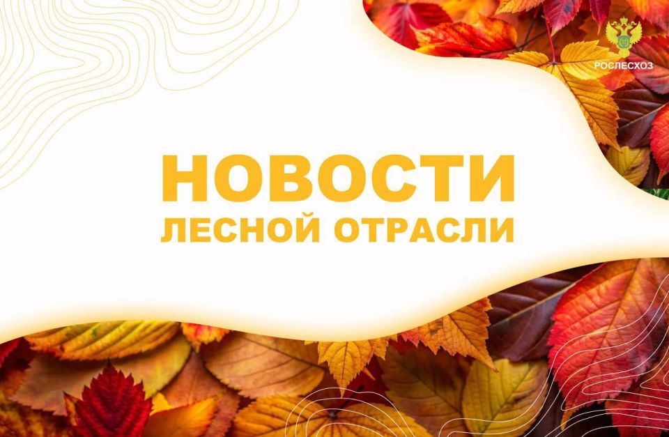 ЛПК Сибири: Рослесхоз выявил нарушения в лесном хозяйстве Калужской и Самарской областей