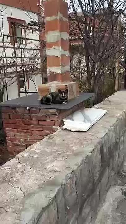 � ������ ����� ����, ������� �������� ����-�-���� ��� ������ ���������