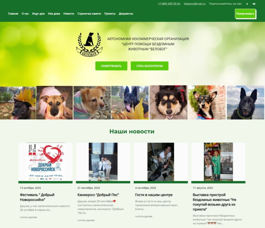 «Цифровой импульс, веб-возможности для НКО»: в Новороссийске общественные организации осваивают деятельность в интернет-пространстве