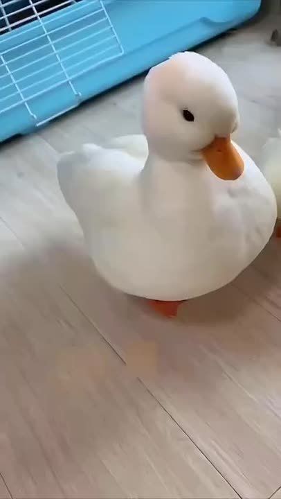 �������� �� ���� ����� �������� ���� ���������� ������