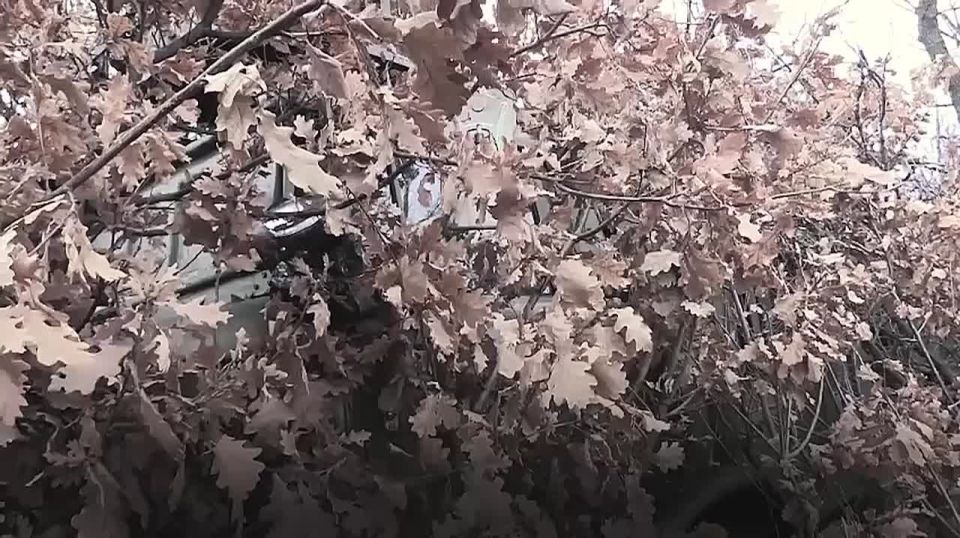 Сильная армия — гарантия стабильности и процветания для будущих поколений