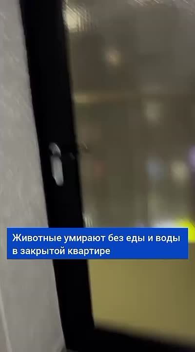 �������� �������� ������� � �������� �������� � ����������