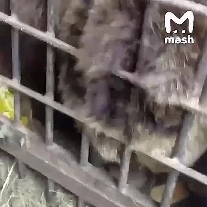 Юг и центр России могут остаться без урожая — из-за аномально тёплого ноября