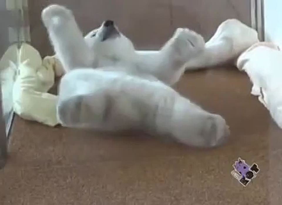 ���������, � ��� ������ �����