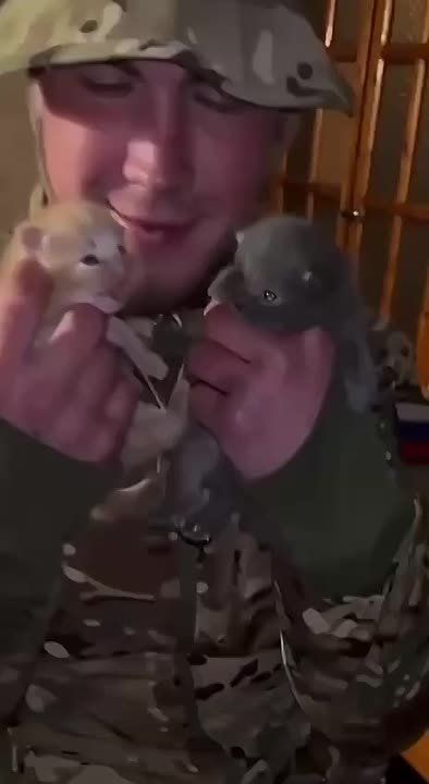 Русский солдат ребенка не обидит, даже если это котенок