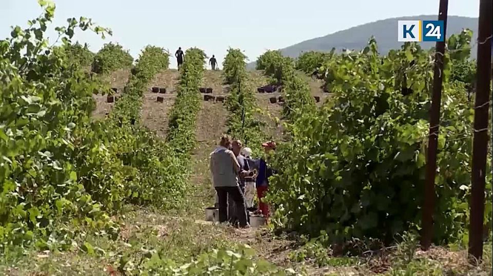 ����������� 20 �������� ������� ������������ ���������� ����� ��������� � ����������