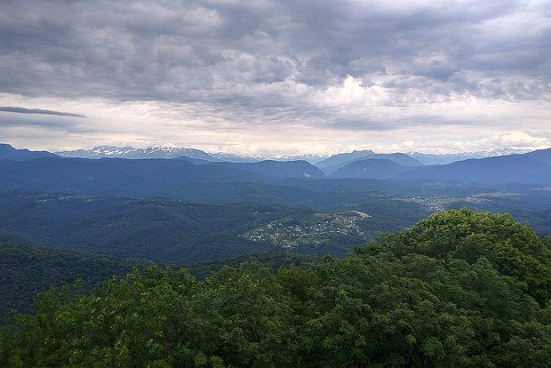 Мэр Сочи Прошунин заявил, что ВСУ атаковали город беспилотниками