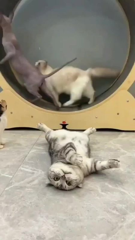 ���, ����� ��� �� ��