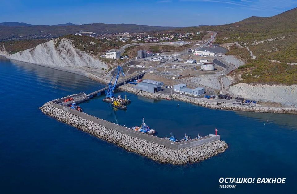 Осудило удары и перенаправило нефть: заявление Минэнерго Казахстана в связи с украинской атакой под Новороссийском