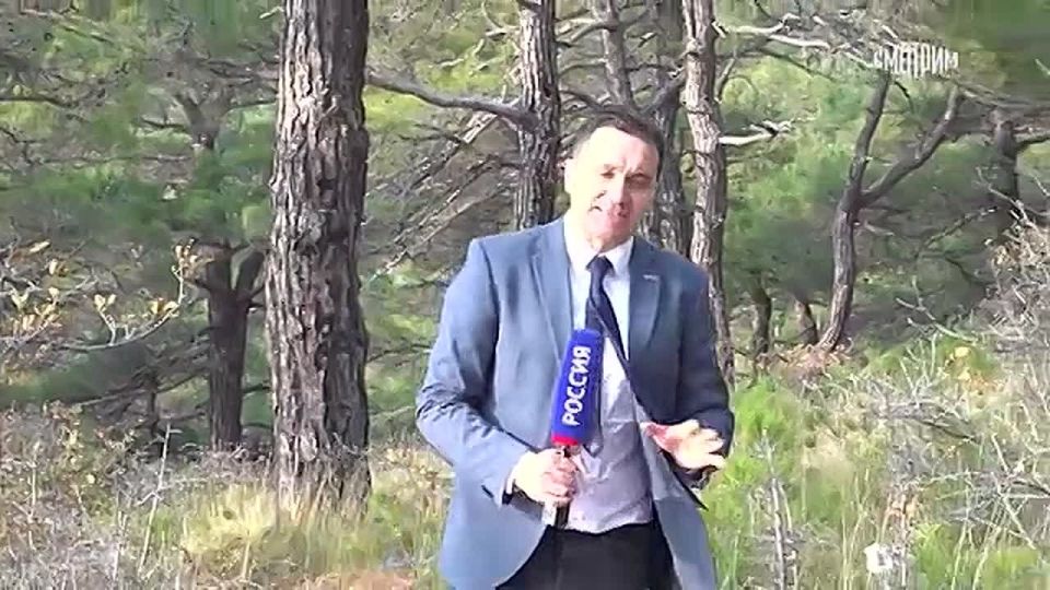 В Геленджике начался снос самостроев на берегу Черного моря