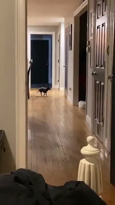 Врываемся в выходные