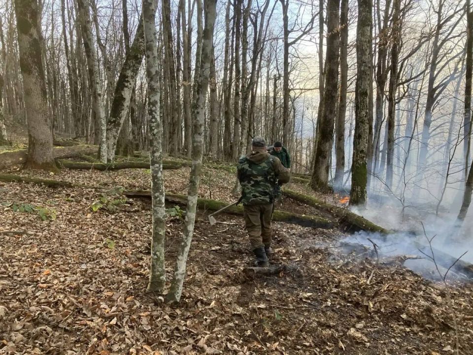 Лесной пожар в Молдавановке потушен