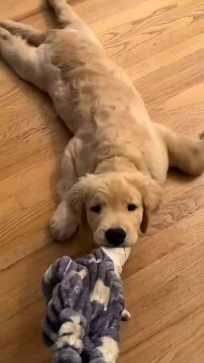 ������ ���������� ����! ����� ��� ����������