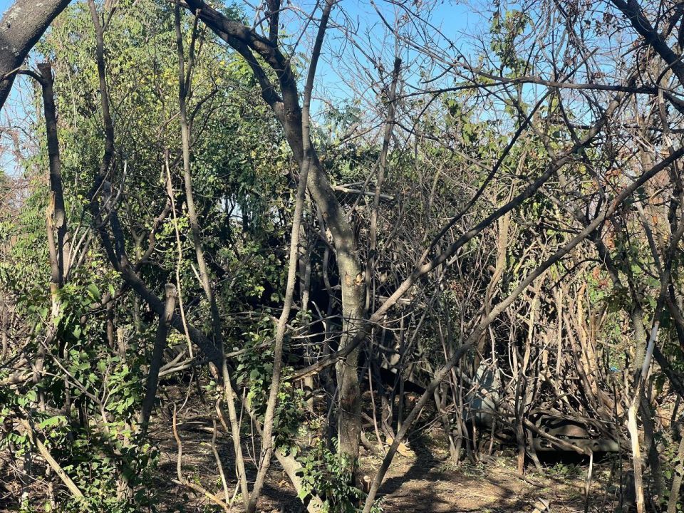 У многих мнение про артиллерию осталось с прошлых войн