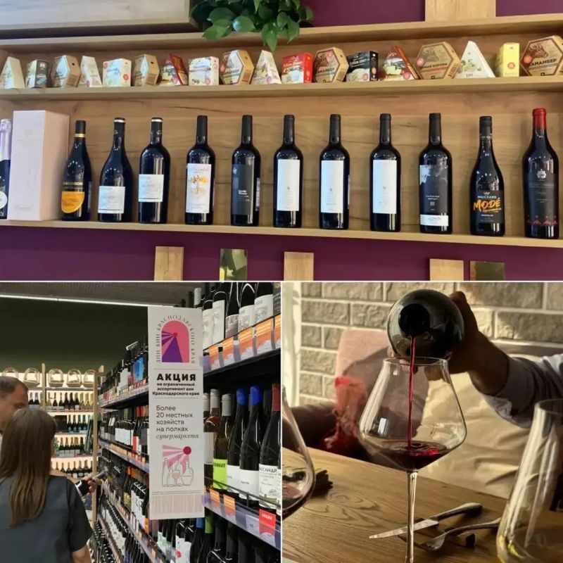 Более 200 млн литров вина произвели в Краснодарском крае с начала года