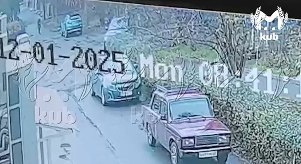 На жителей Ставропольской нападает одна и та же бездомная собака