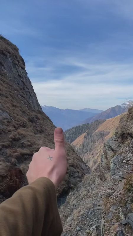 Ситуация: вы встретились в горах с серной