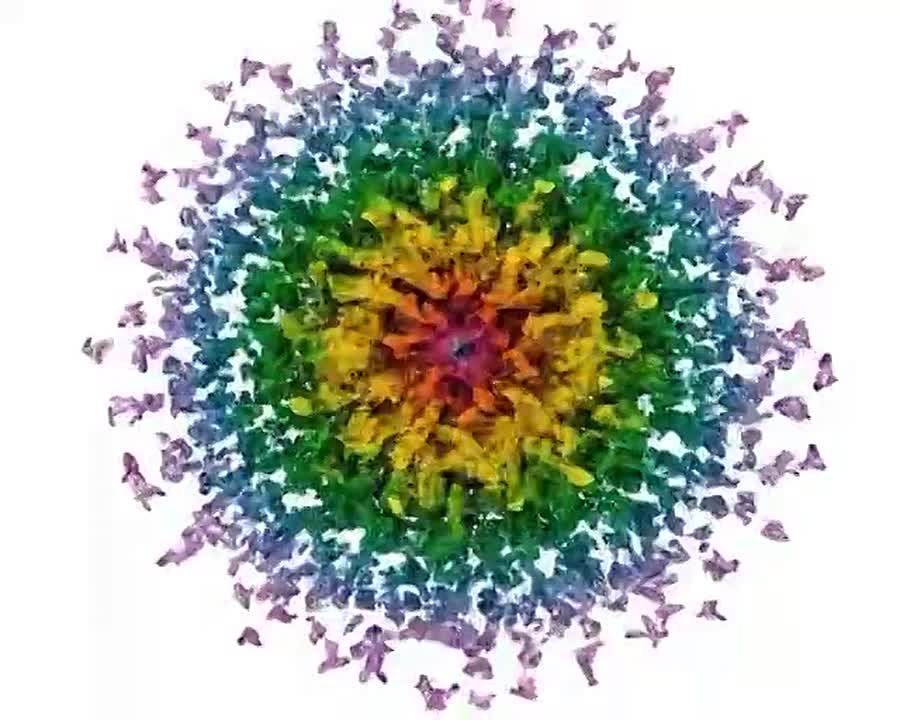 Главное на сегодня:. Поиск краснодарца, пропавшего в горах Адыгеи, остановлен Разборки вокруг наследия "Ласкового мая" продолжаются ФСБ задержала спонсоршу ВСУ в Краснодарском крае Житель Краснодара задержан на Филиппинах по...