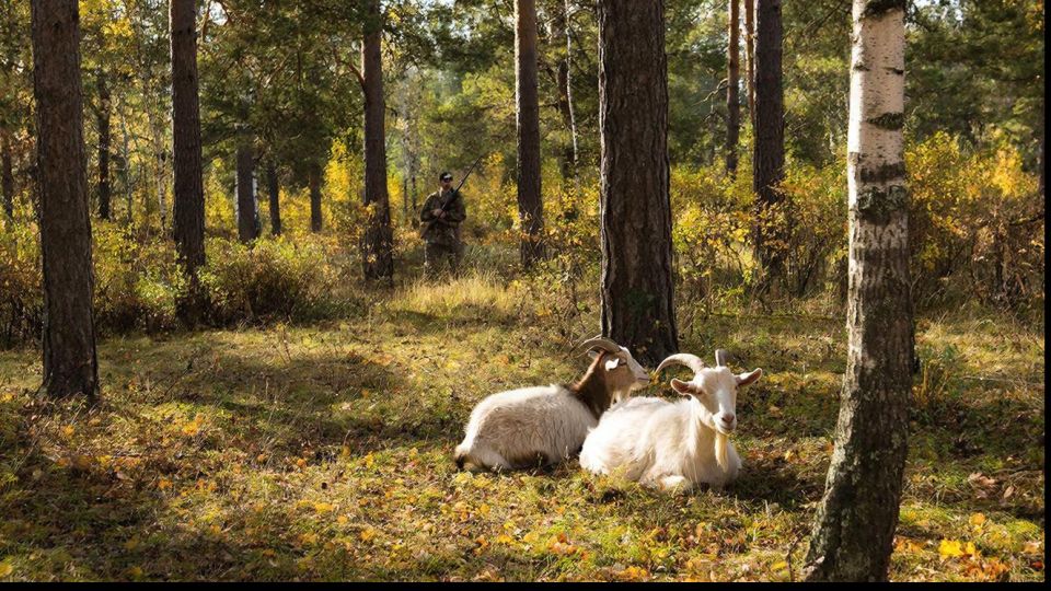 ���������� ����������� �������� ��� � ������� �����